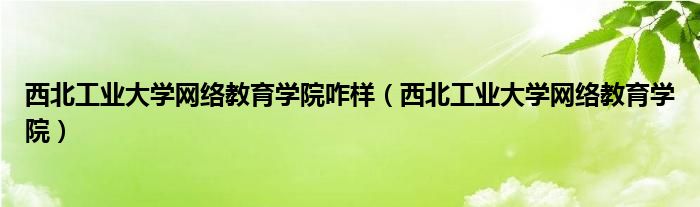 西北工业大学网络教育学院咋样（西北工业大学网络教育学院）