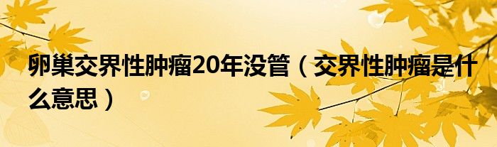 卵巢交界性肿瘤20年没管（交界性肿瘤是什么意思）