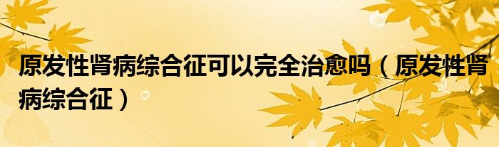 原发性肾病综合征可以完全治愈吗（原发性肾病综合征）