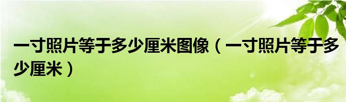 一寸照片等于多少厘米图像（一寸照片等于多少厘米）