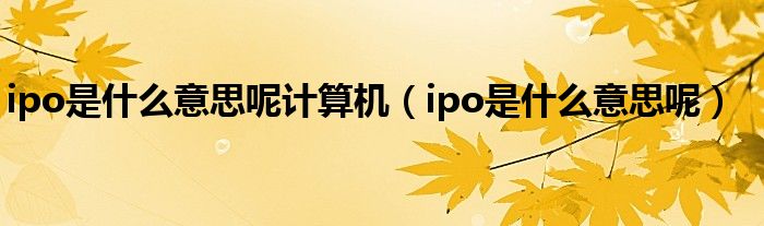 ipo是什么意思呢计算机（ipo是什么意思呢）