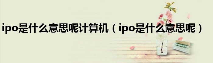 ipo是什么意思呢计算机（ipo是什么意思呢）