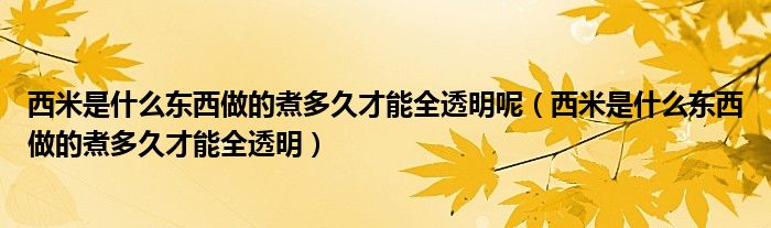 西米是什么东西做的煮多久才能全透明呢（西米是什么东西做的煮多久才能全透明）