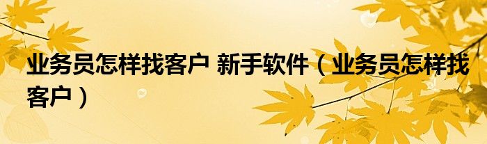 业务员怎样找客户 新手软件（业务员怎样找客户）