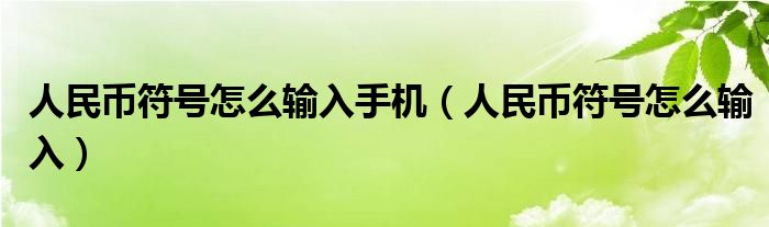 人民币符号怎么输入手机（人民币符号怎么输入）