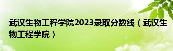 武汉生物工程学院2023录取分数线（武汉生物工程学院）