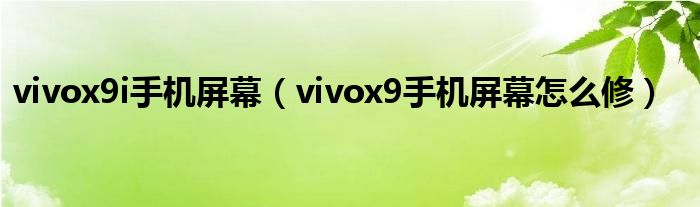 vivox9i手机屏幕（vivox9手机屏幕怎么修）