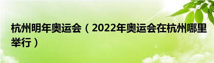 杭州明年奥运会（2022年奥运会在杭州哪里举行）