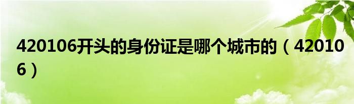 420106开头的身份证是哪个城市的（420106）