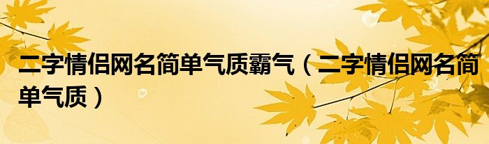 二字情侣网名简单气质霸气（二字情侣网名简单气质）