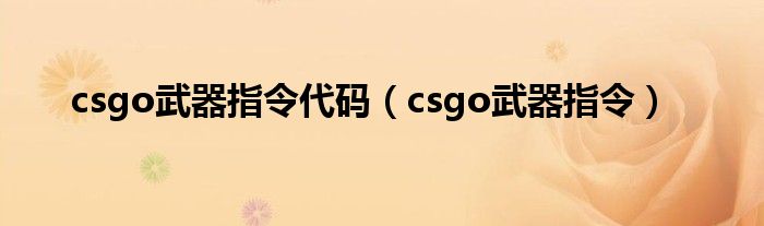 csgo武器指令代码（csgo武器指令）