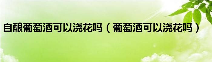 自酿葡萄酒可以浇花吗（葡萄酒可以浇花吗）