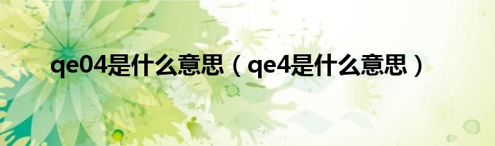 qe04是什么意思（qe4是什么意思）