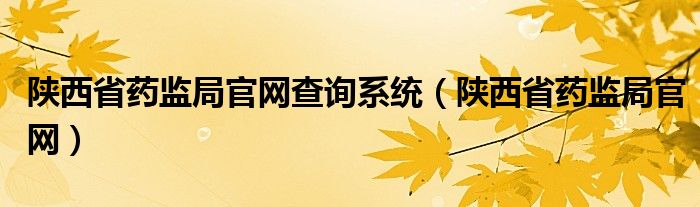 陕西省药监局官网查询系统（陕西省药监局官网）