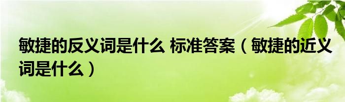 敏捷的反义词是什么 标准答案（敏捷的近义词是什么）