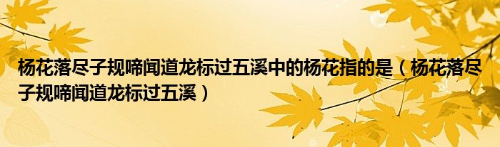 杨花落尽子规啼闻道龙标过五溪中的杨花指的是（杨花落尽子规啼闻道龙标过五溪）