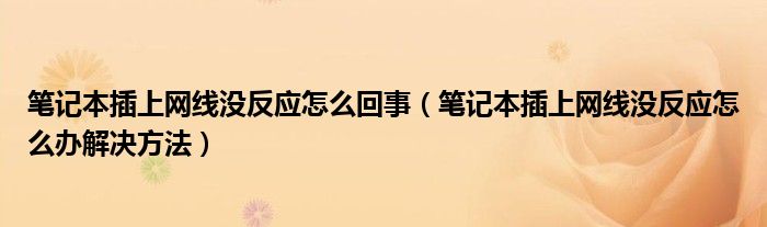 笔记本插上网线没反应怎么回事（笔记本插上网线没反应怎么办解决方法）