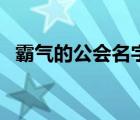 霸气的公会名字有哪些（霸气的公会名字）