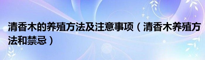 清香木的养殖方法及注意事项（清香木养殖方法和禁忌）