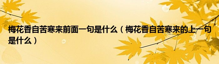 梅花香自苦寒来前面一句是什么（梅花香自苦寒来的上一句是什么）