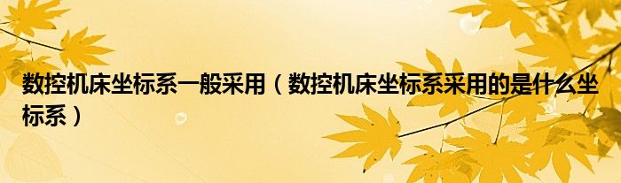 数控机床坐标系一般采用（数控机床坐标系采用的是什么坐标系）