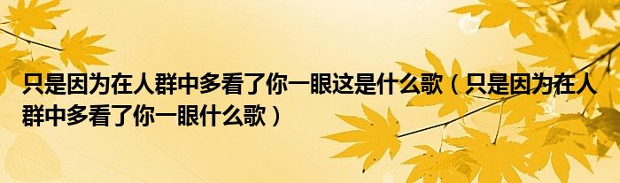 只是因为在人群中多看了你一眼这是什么歌（只是因为在人群中多看了你一眼什么歌）