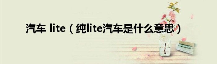 汽车 lite（纯lite汽车是什么意思）