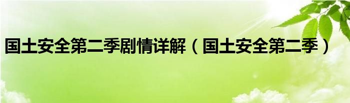 国土安全第二季剧情详解（国土安全第二季）