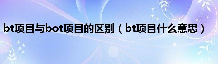 bt项目与bot项目的区别（bt项目什么意思）