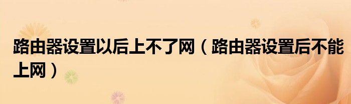 路由器设置以后上不了网（路由器设置后不能上网）