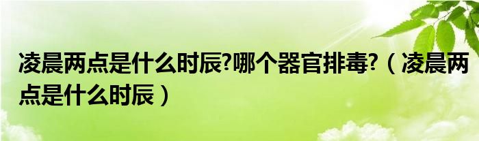 凌晨两点是什么时辰?哪个器官排毒?（凌晨两点是什么时辰）