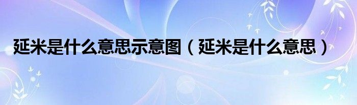 延米是什么意思示意图（延米是什么意思）