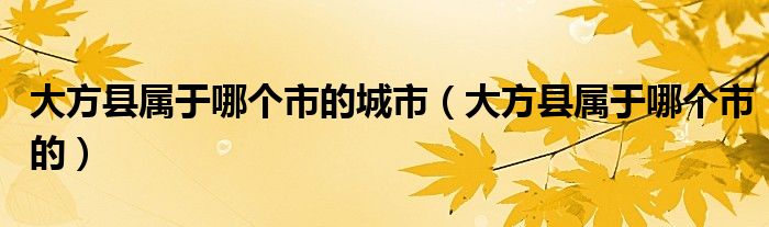 大方县属于哪个市的城市（大方县属于哪个市的）