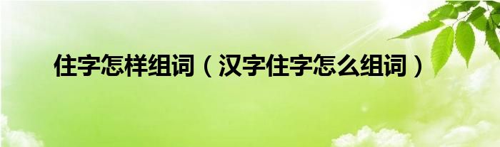 住字怎样组词（汉字住字怎么组词）