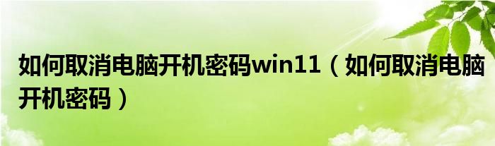 如何取消电脑开机密码win11（如何取消电脑开机密码）