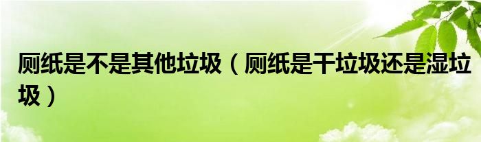 厕纸是不是其他垃圾（厕纸是干垃圾还是湿垃圾）