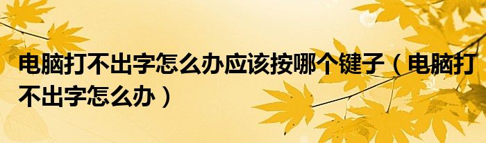 电脑打不出字怎么办应该按哪个键子（电脑打不出字怎么办）