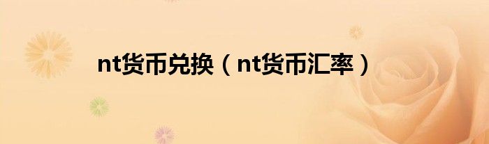 nt货币兑换（nt货币汇率）