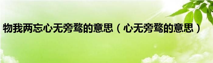 物我两忘心无旁骛的意思（心无旁骛的意思）