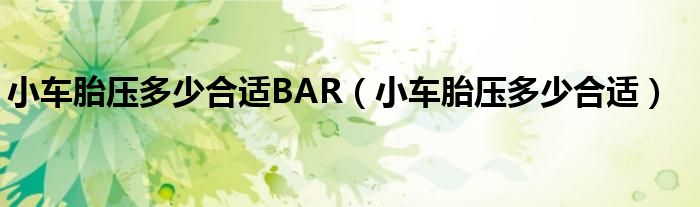 小车胎压多少合适BAR（小车胎压多少合适）