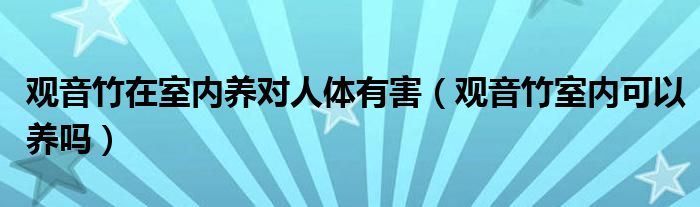 观音竹在室内养对人体有害（观音竹室内可以养吗）