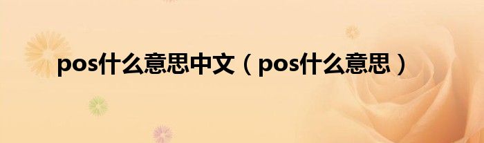 pos什么意思中文（pos什么意思）