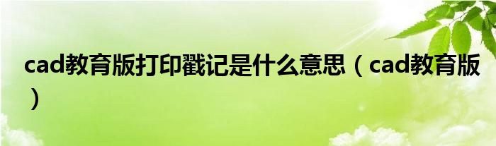 cad教育版打印戳记是什么意思（cad教育版）