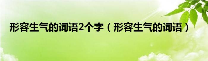 形容生气的词语2个字（形容生气的词语）