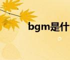 bgm是什么车牌（BGM是什么）