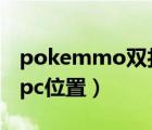 pokemmo双打队伍分享（pokemmo双打npc位置）