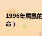 1996年属鼠的是什么命（96年属鼠的是什么命）