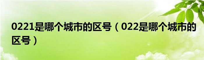 0221是哪个城市的区号（022是哪个城市的区号）