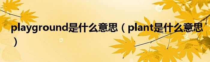 playground是什么意思（plant是什么意思）