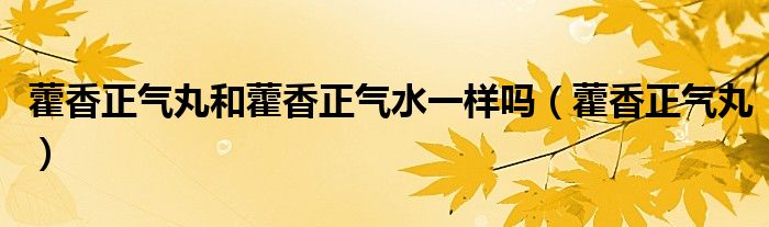 藿香正气丸和藿香正气水一样吗（藿香正气丸）